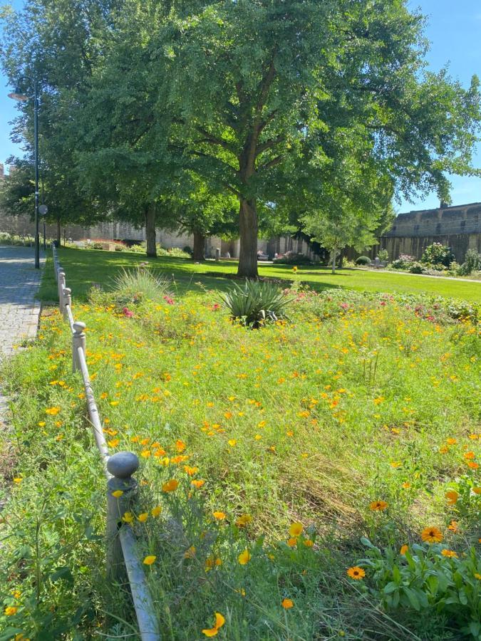 Haeuschen Am Plenzer Villa Ingelheim am Rhein Exteriör bild