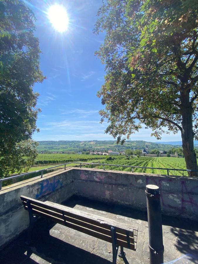 Haeuschen Am Plenzer Villa Ingelheim am Rhein Exteriör bild