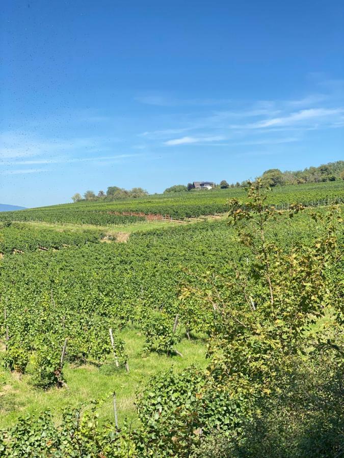Haeuschen Am Plenzer Villa Ingelheim am Rhein Exteriör bild