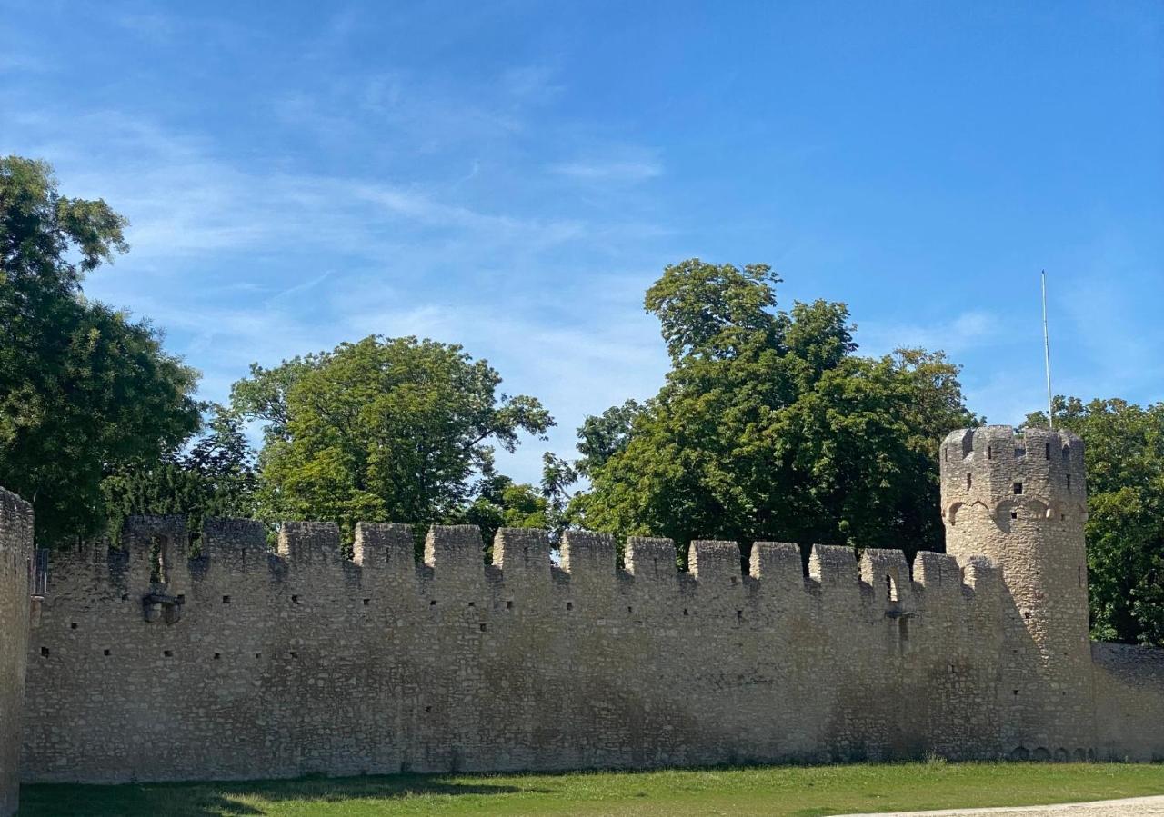 Haeuschen Am Plenzer Villa Ingelheim am Rhein Exteriör bild