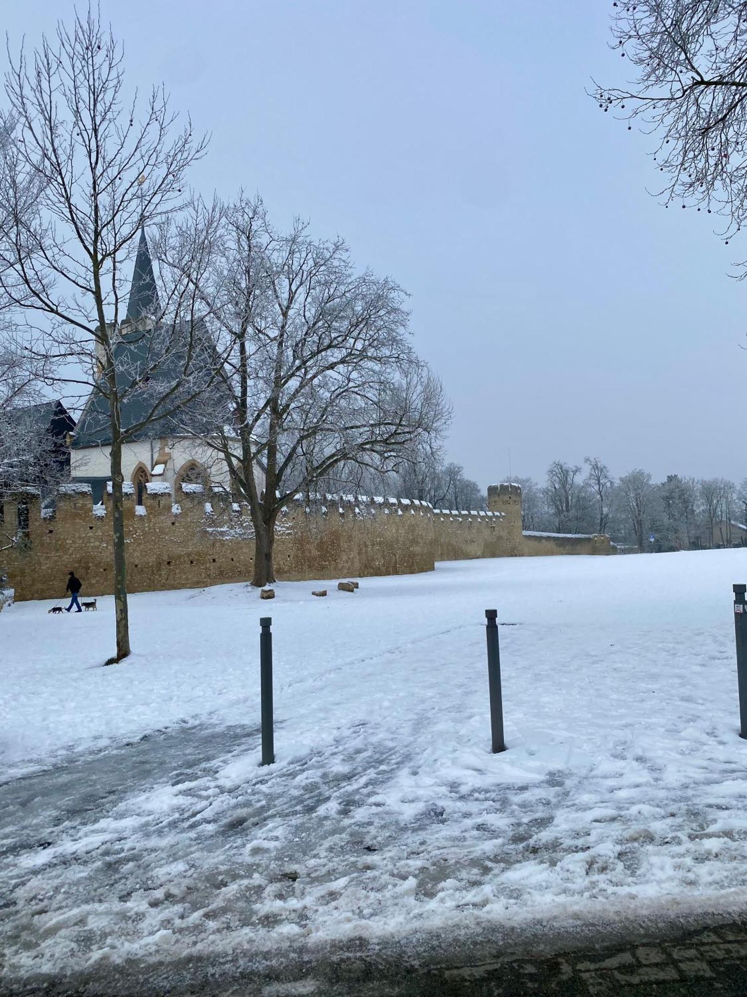 Haeuschen Am Plenzer Villa Ingelheim am Rhein Exteriör bild
