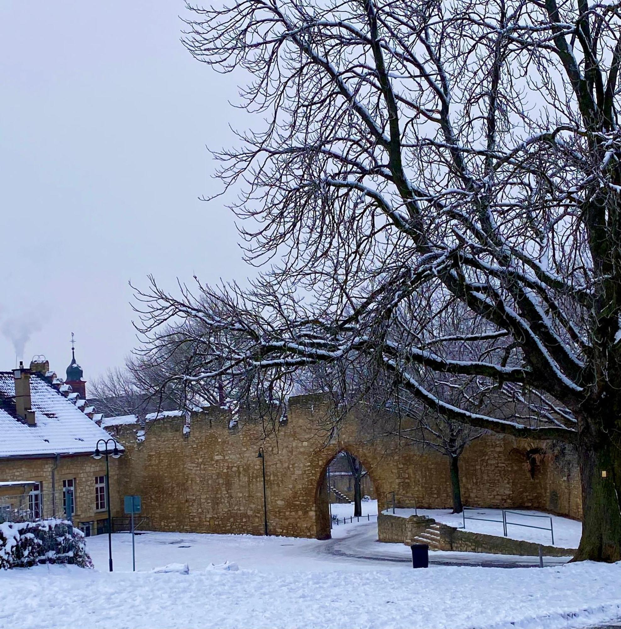 Haeuschen Am Plenzer Villa Ingelheim am Rhein Exteriör bild